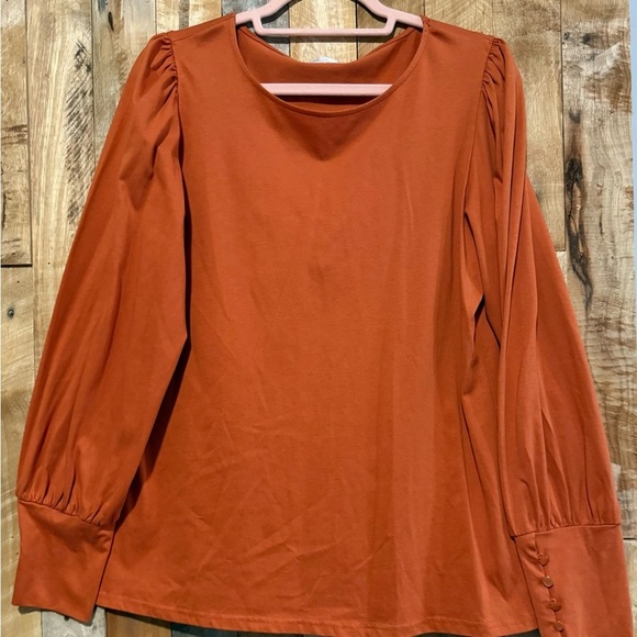 Elegant Rust Women's Top - Picture 2 of 7